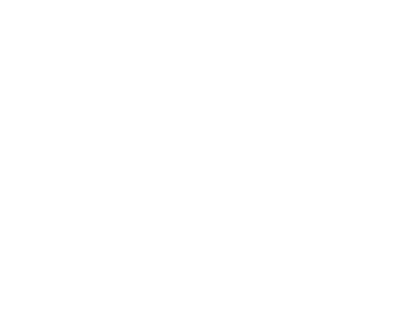 credit-check.it